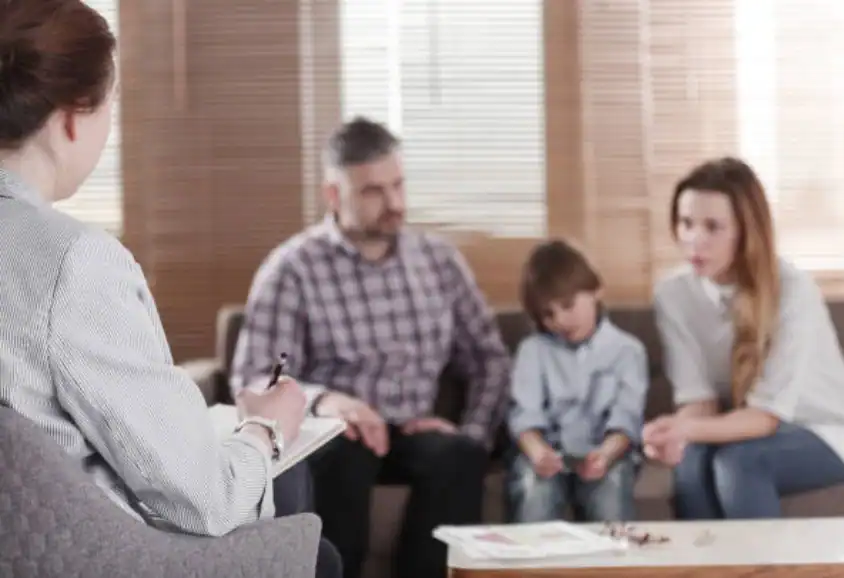 Different Parenting Styles and Expectations: Finding Common Ground Through Mediation Letchworth
